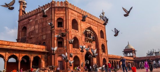 delhi (1)